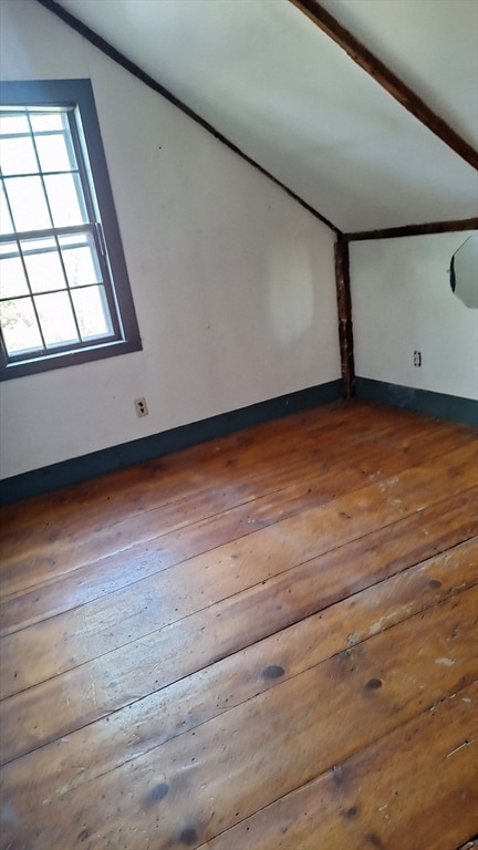 additional living space with hardwood / wood-style flooring