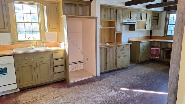 kitchen featuring dishwasher, ventilation hood, and sink