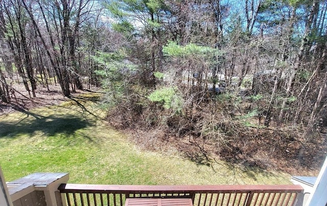 15 Iris Way Unit 27, Haverhill, MA 01830 - view of green lawn