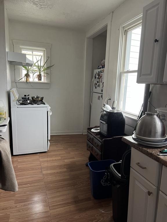 kitchen with white appliances, hardwood / wood-style flooring, white cabinetry, and a wealth of natural light