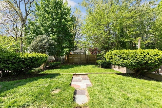 view of yard
