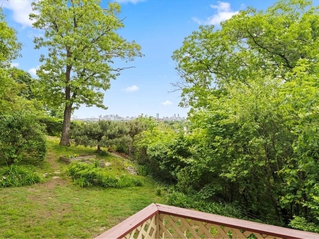 49 Fern Rd, Medford, MA 02155 - view of yard
