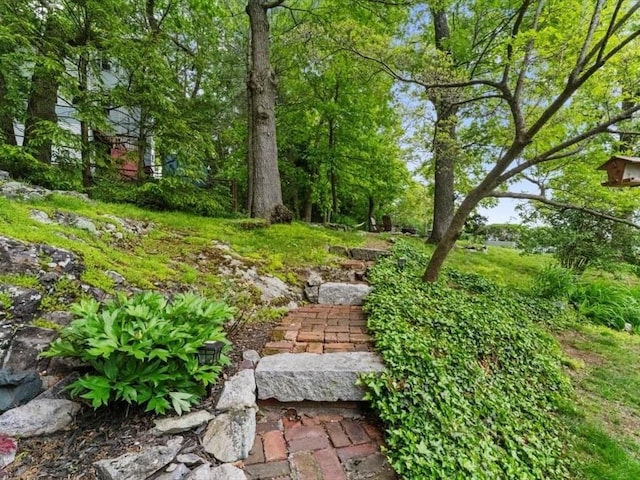 49 Fern Rd, Medford, MA 02155 - view of yard