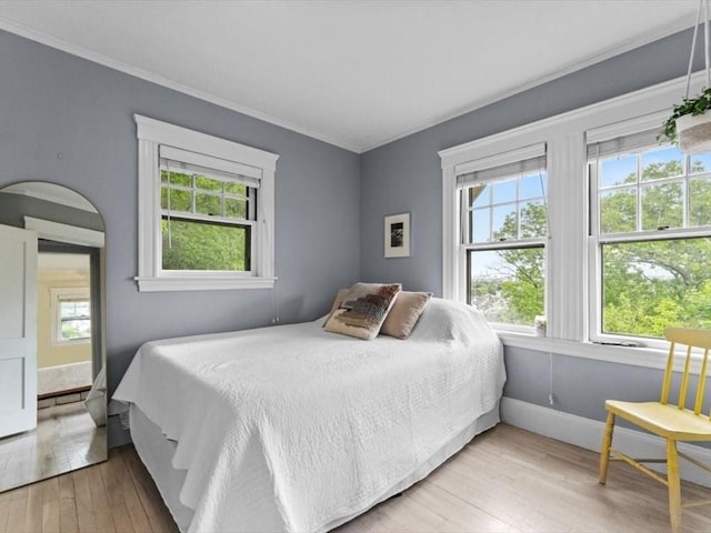 49 Fern Rd, Medford, MA 02155 - bedroom with multiple windows, light wood finished floors, ornamental molding, and baseboards