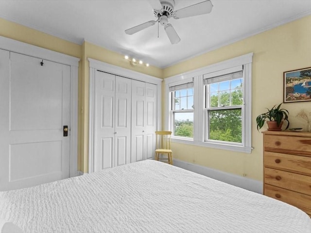 49 Fern Rd, Medford, MA 02155 - bedroom with a closet, ornamental molding, and ceiling fan