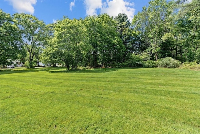 1210 Highland St, Holliston, MA 01746 - view of grassy yard