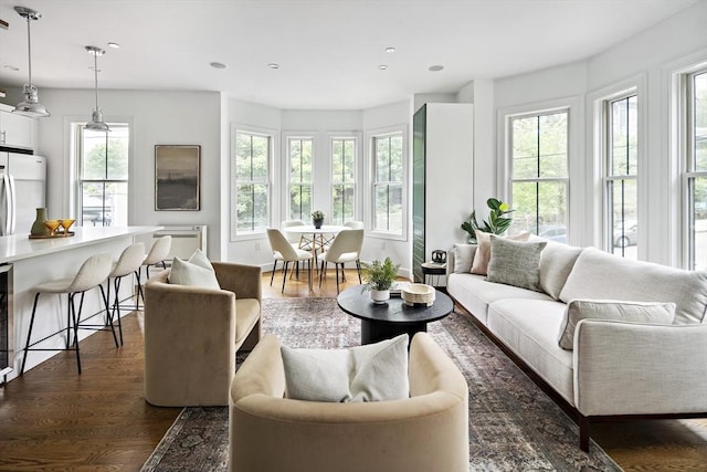 9 Cedar St Unit 1, Boston, MA 02119 - living room with dark wood-style flooring and recessed lighting