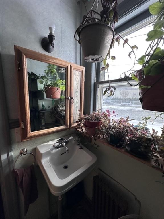 bathroom with sink