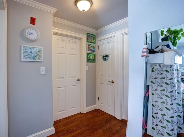 interior space featuring dark hardwood / wood-style flooring and ornamental molding