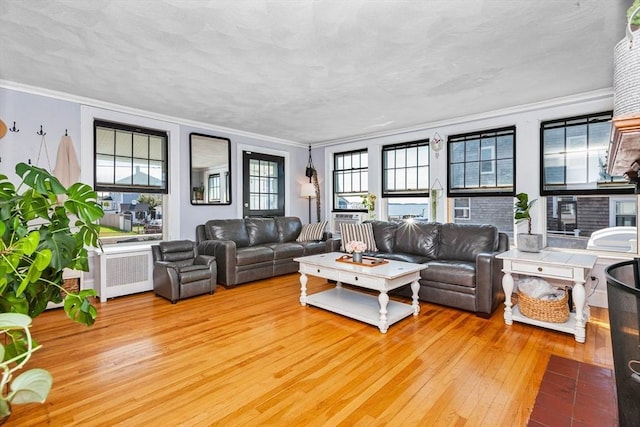 living room with crown molding, radiator heating unit, and wood finished floors