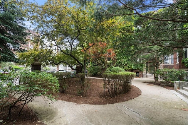 97 Chester St Unit 8, Boston, MA 02134 - view of community