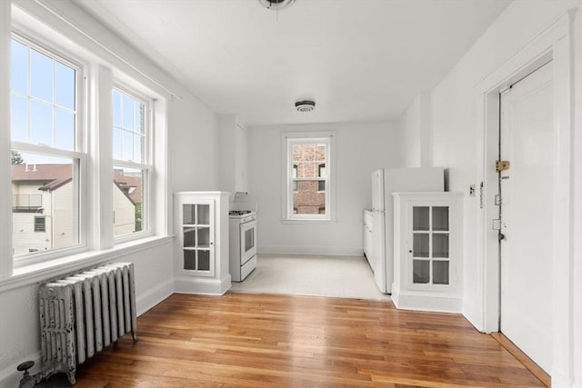 97 Chester St Unit 8, Boston, MA 02134 - unfurnished living room featuring radiator heating unit, plenty of natural light, and light wood-style floors