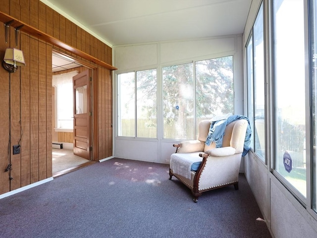 sunroom with a baseboard heating unit