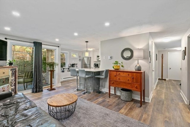 living room with hardwood / wood-style flooring and a baseboard radiator