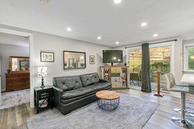 living room featuring hardwood / wood-style floors