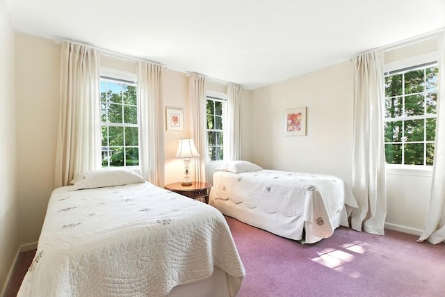 76 Wildflower Cir, Westfield, MA 01085 - carpeted bedroom with baseboards