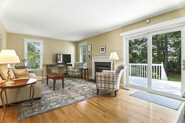 76 Wildflower Cir, Westfield, MA 01085 - living room featuring plenty of natural light, wood finished floors, and a fireplace with flush hearth