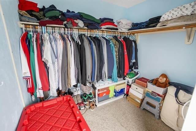 230 Willard St Unit 412, Quincy, MA 02169 - walk in closet featuring carpet flooring