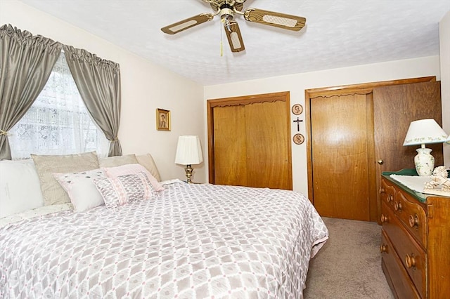 254 Pilgrim Ave, Worcester, MA 01604 - bedroom with carpet floors, multiple closets, and a ceiling fan