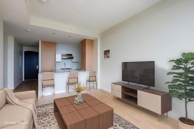 living room with light hardwood / wood-style flooring