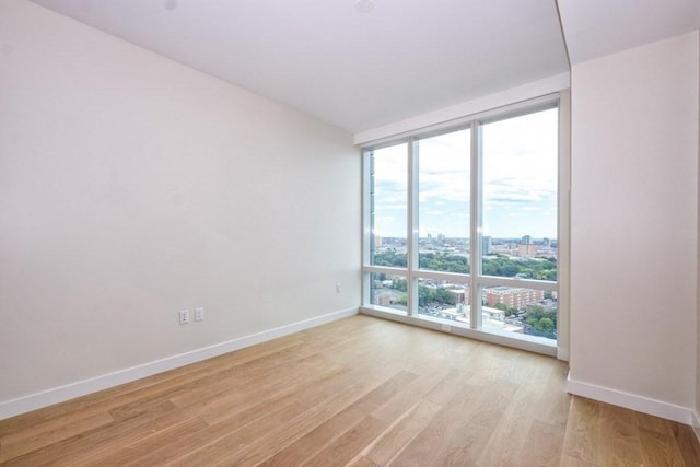 spare room with light hardwood / wood-style flooring and expansive windows