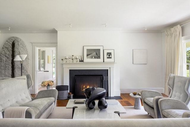 41 Cobbs Hill Rd, Chilmark, MA 02535 - living room with ornamental molding, wood finished floors, a fireplace with flush hearth, and baseboards