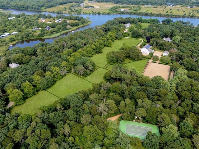 41 Cobbs Hill Rd, Chilmark, MA 02535 - bird's eye view of a large body of water and a forest