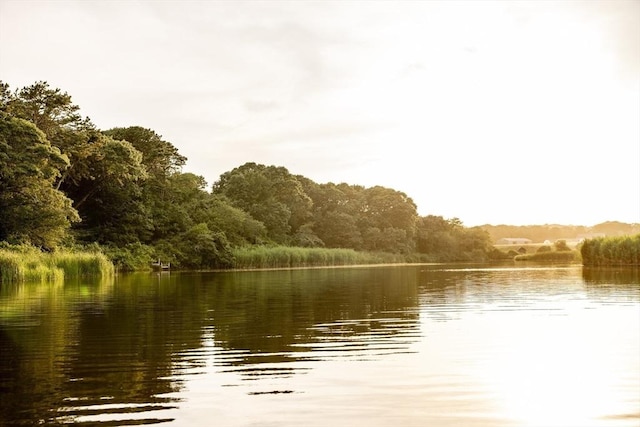 41 Cobbs Hill Rd, Chilmark, MA 02535 - water view featuring a forest