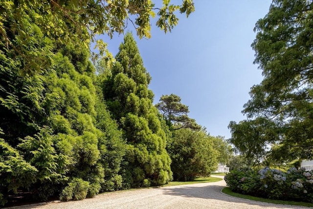41 Cobbs Hill Rd, Chilmark, MA 02535 - view of street