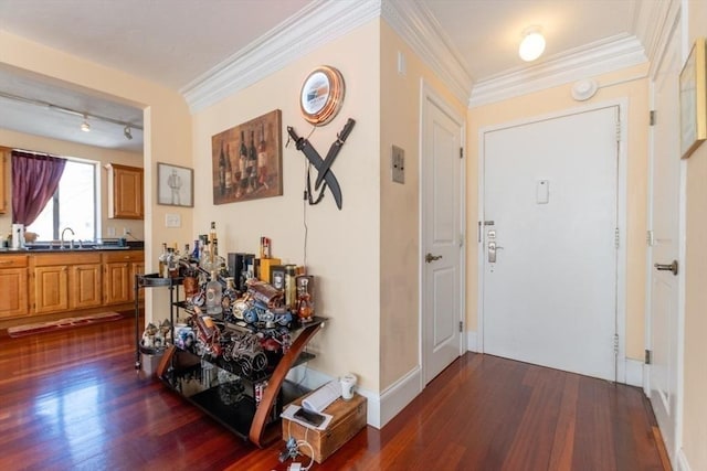 hall featuring crown molding, a sink, and dark wood-style floors