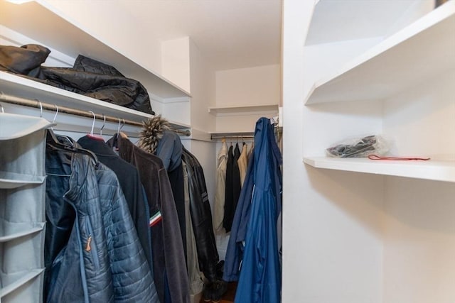 view of walk in closet