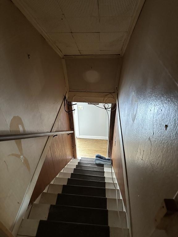 staircase featuring wood-type flooring