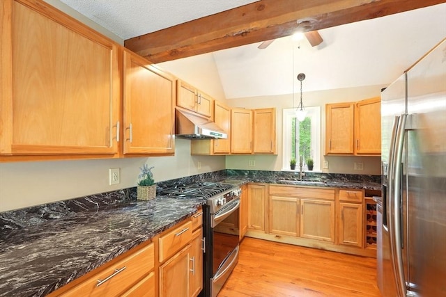 237 Shutesbury Rd, Amherst, MA 01002 - kitchen with stainless steel appliances, under cabinet range hood, light wood-style floors, ceiling fan, and vaulted ceiling