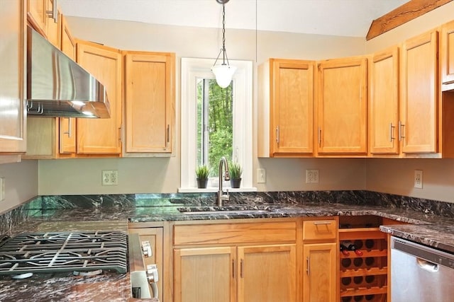 237 Shutesbury Rd, Amherst, MA 01002 - kitchen with under cabinet range hood, stainless steel dishwasher, a sink, and light brown cabinets