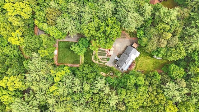 237 Shutesbury Rd, Amherst, MA 01002 - aerial view