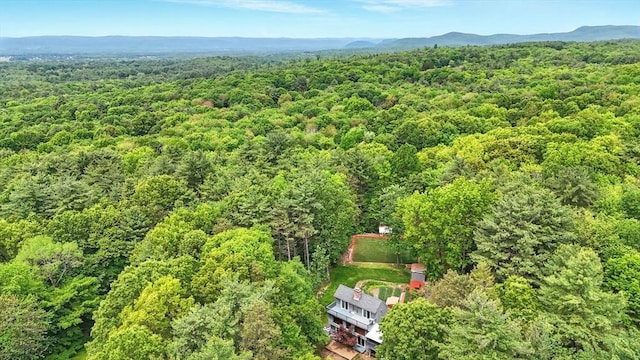 237 Shutesbury Rd, Amherst, MA 01002 - bird's eye view of a forest