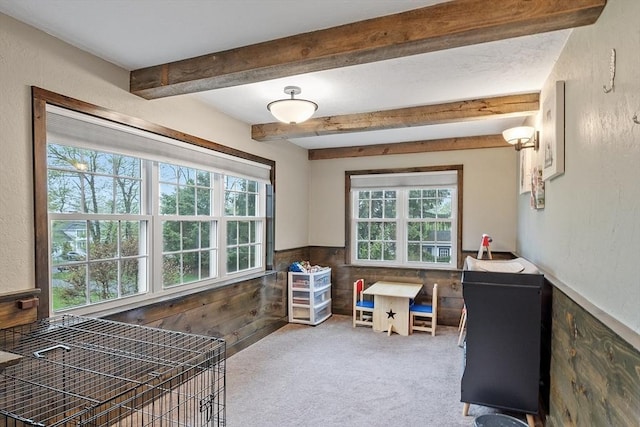 office space with a wainscoted wall, beam ceiling, carpet flooring, and wooden walls