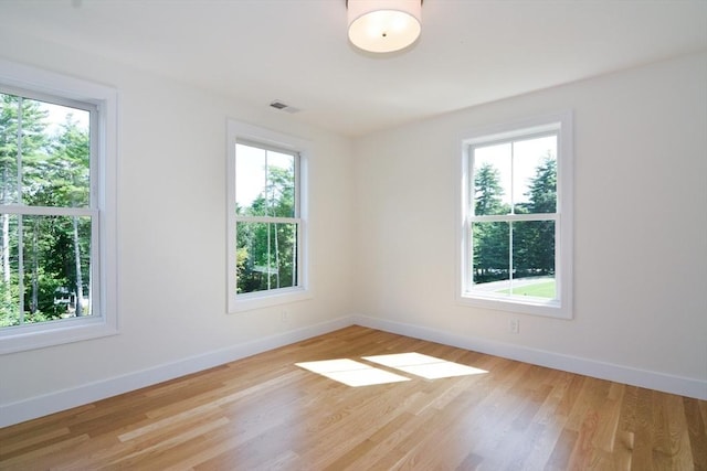 spare room with light hardwood / wood-style flooring and a healthy amount of sunlight