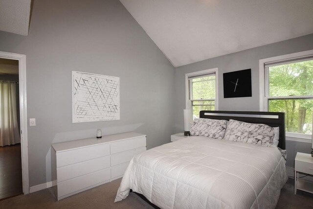 1559 Bay St Unit 53, Taunton, MA 02780 - bedroom featuring high vaulted ceiling
