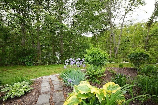 1559 Bay St Unit 53, Taunton, MA 02780 - view of yard