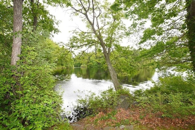 1559 Bay St Unit 53, Taunton, MA 02780 - water view featuring a forest