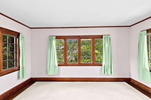 25 Hundreds Cir, Wellesley, MA 02481 - carpeted empty room with baseboards and ornamental molding