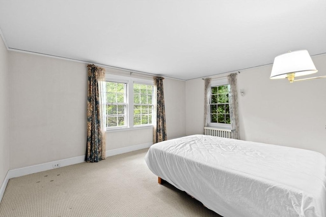 25 Hundreds Cir, Wellesley, MA 02481 - bedroom with carpet flooring and baseboards