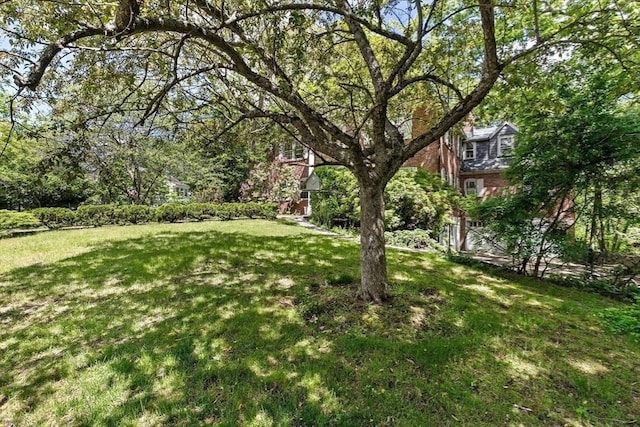 25 Hundreds Cir, Wellesley, MA 02481 - view of green lawn