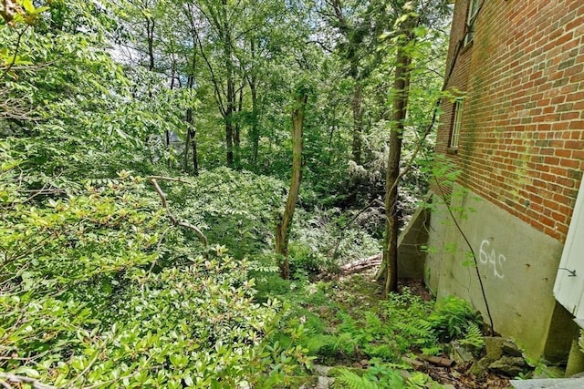 25 Hundreds Cir, Wellesley, MA 02481 - view of local wilderness