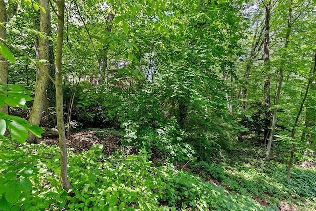 25 Hundreds Cir, Wellesley, MA 02481 - view of undeveloped land