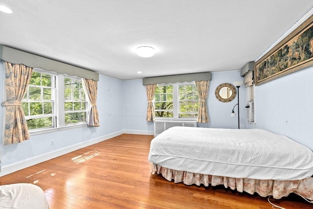 25 Hundreds Cir, Wellesley, MA 02481 - bedroom with multiple windows, baseboards, wood finished floors, and radiator