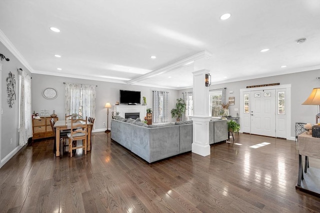 living room featuring dark wood-type flooring and crown molding