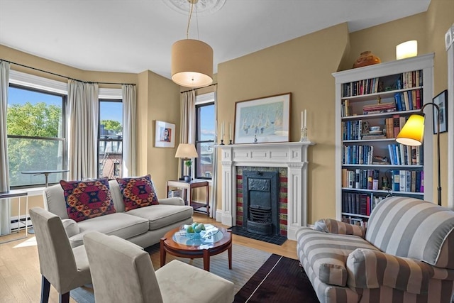 258 Shawmut Ave Unit 8, Boston, MA 02118 - living room featuring plenty of natural light, wood finished floors, and a fireplace