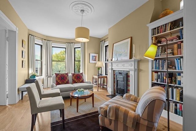 258 Shawmut Ave Unit 8, Boston, MA 02118 - living room with a fireplace with flush hearth and wood finished floors